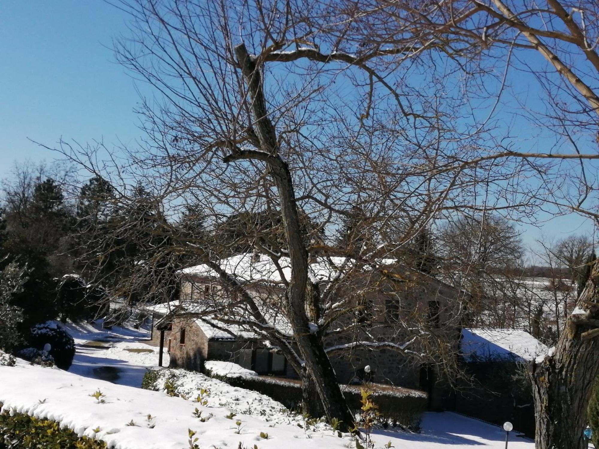 Agriturismo Il Cornalino Castel Viscardo Екстер'єр фото