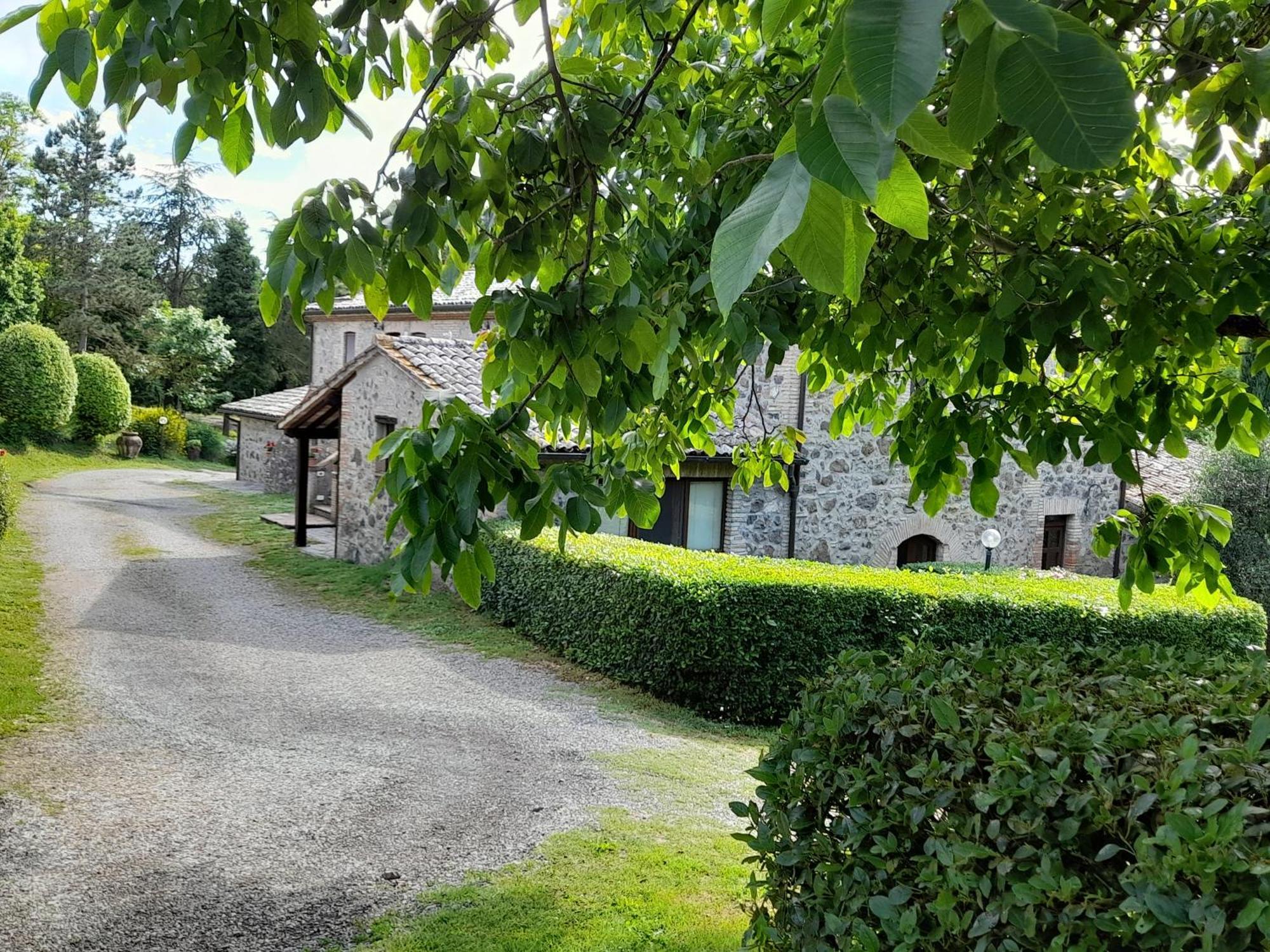 Agriturismo Il Cornalino Castel Viscardo Екстер'єр фото